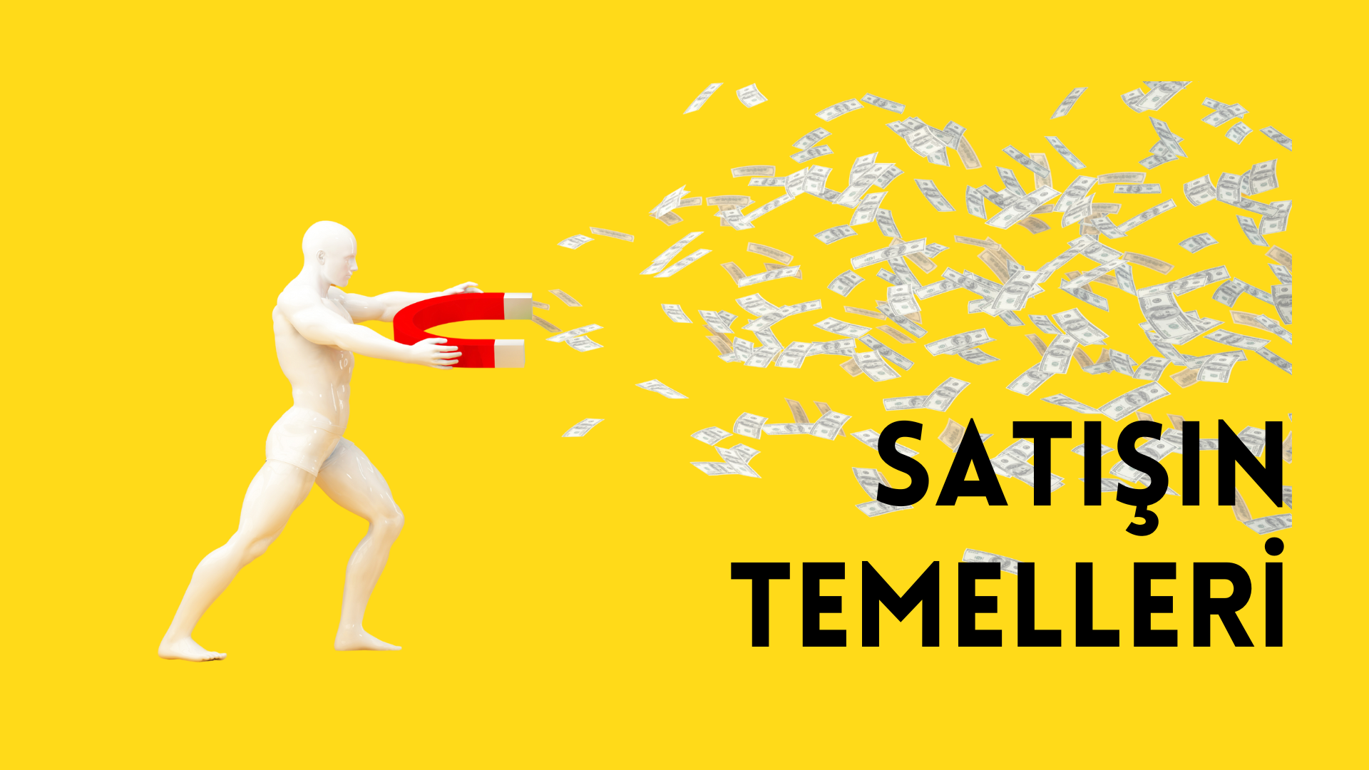 Satışın Temelleri
